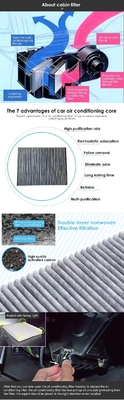OE 301001199AA Auto Cabin Filter Air Filter Specifications for Toyota Car Conditioning