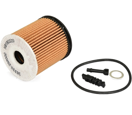 OE 263002M000 Oil Filter for FOR MAN HYUNDAI BEIJING KIA 2019- from in Neutral Package